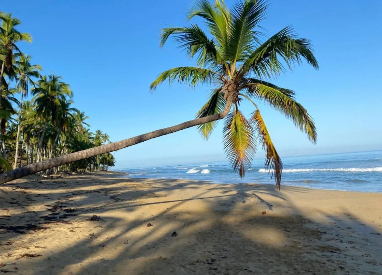 Hotel Casa Coson Las Terrenas 0*,